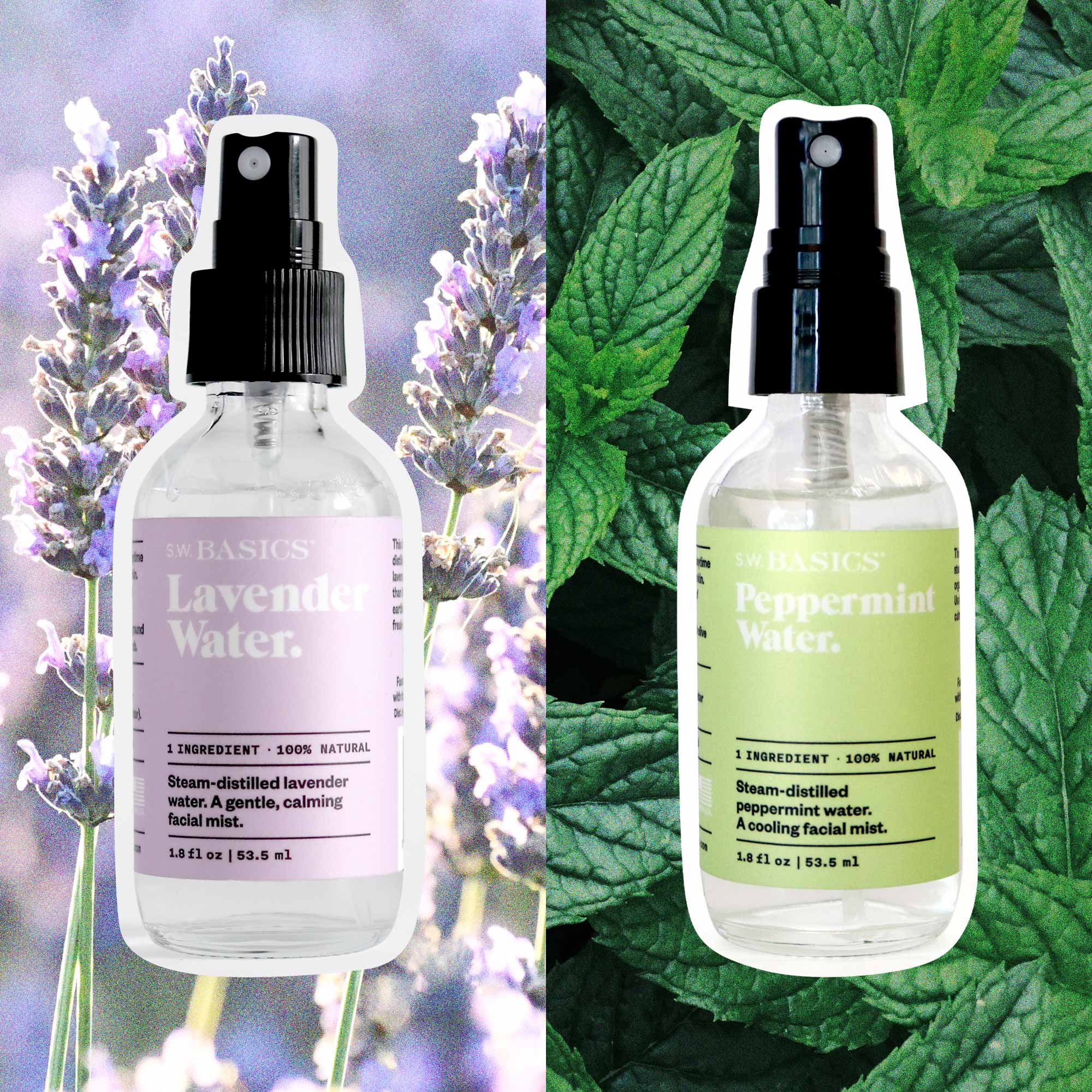 peppermint and lavender plants Lavender+Peppermint Water Bundle – S.W. Basics